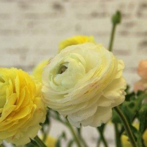 Smukke naturtro kunstige blomster fra Flower Factory